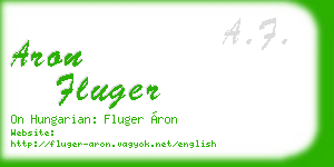 aron fluger business card
